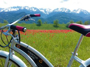 ALPIC oeuvre pour la biodiversité vélos
